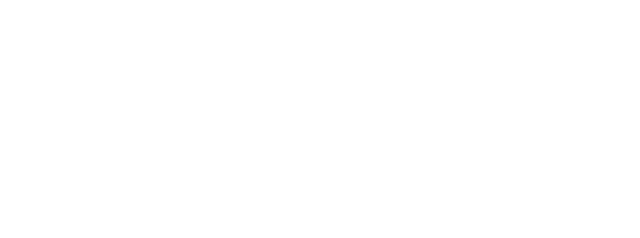 Xanite — Broadbrand platform wordmark